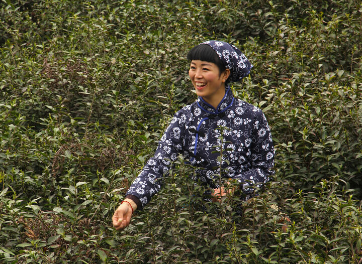 37间房主播跳舞 面具之下